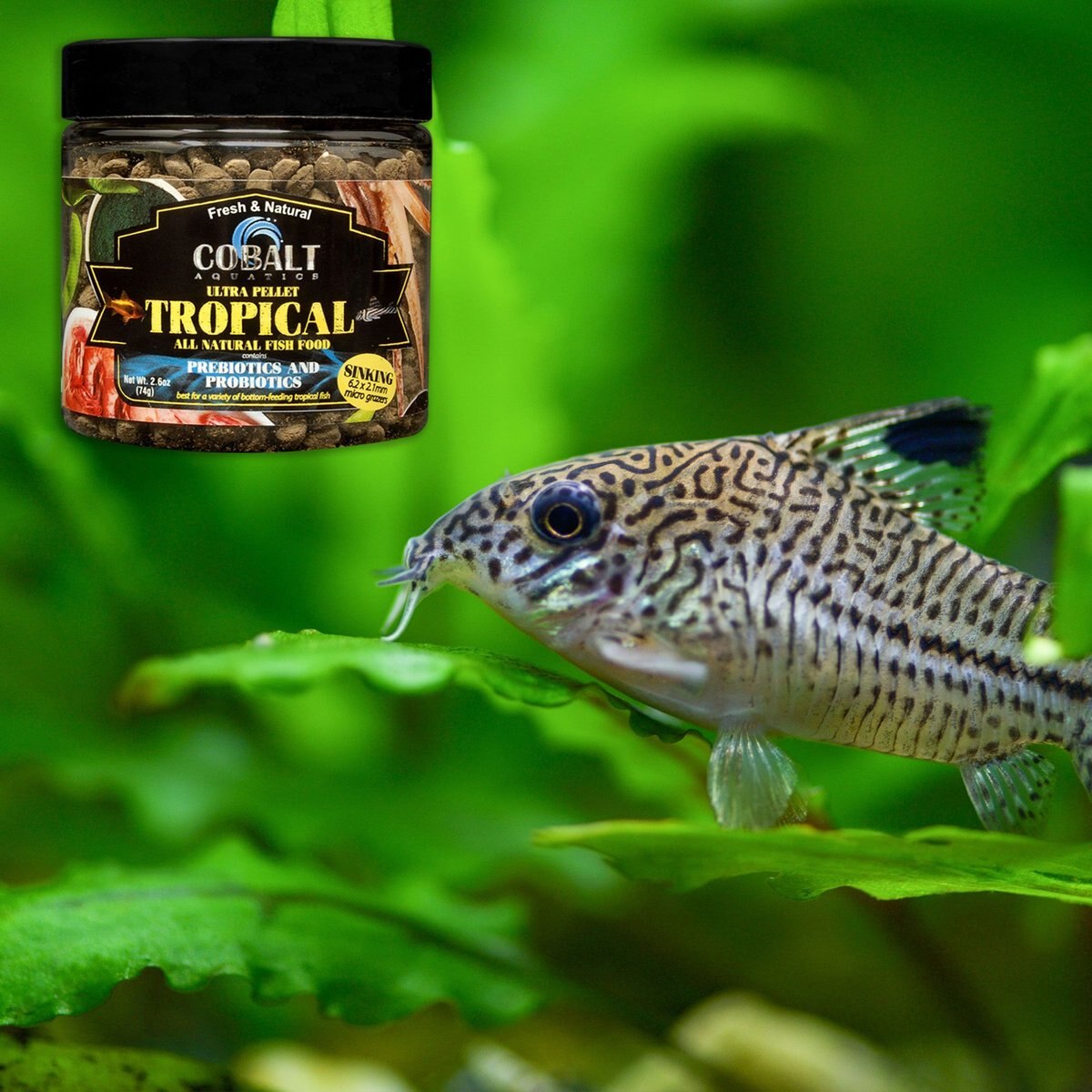 Cobalt Aquatics Ultra Tropical Micro Grazers Sinking Fish Food