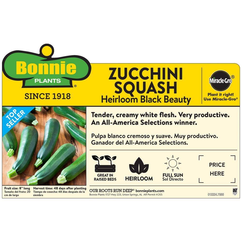 Bonnie Plants 19 oz. Black Beauty Zucchini Plant 4302