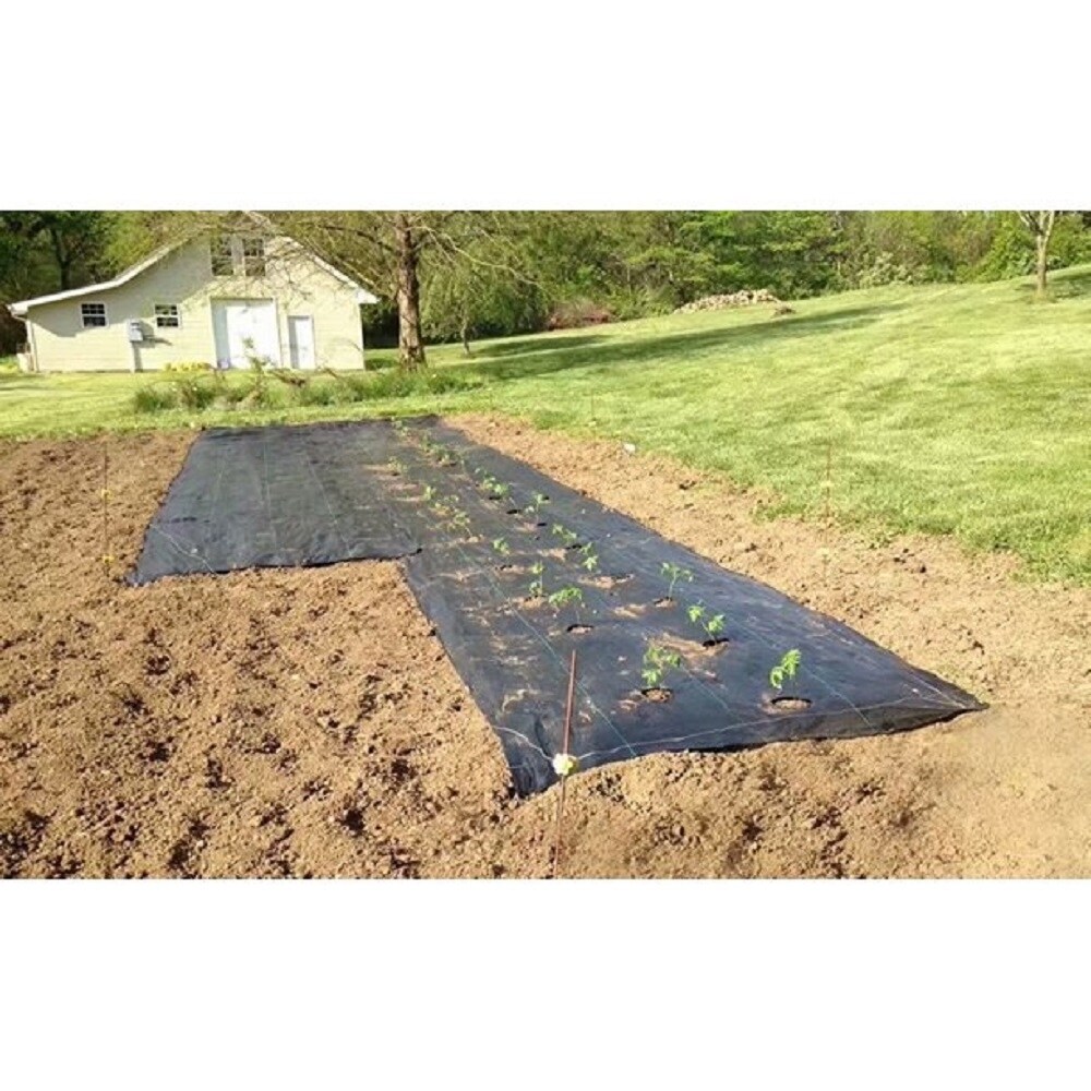 Agfabric Easy Plant Weed Block 3.0oz  3'x12' with Planting Hole Dia 4\