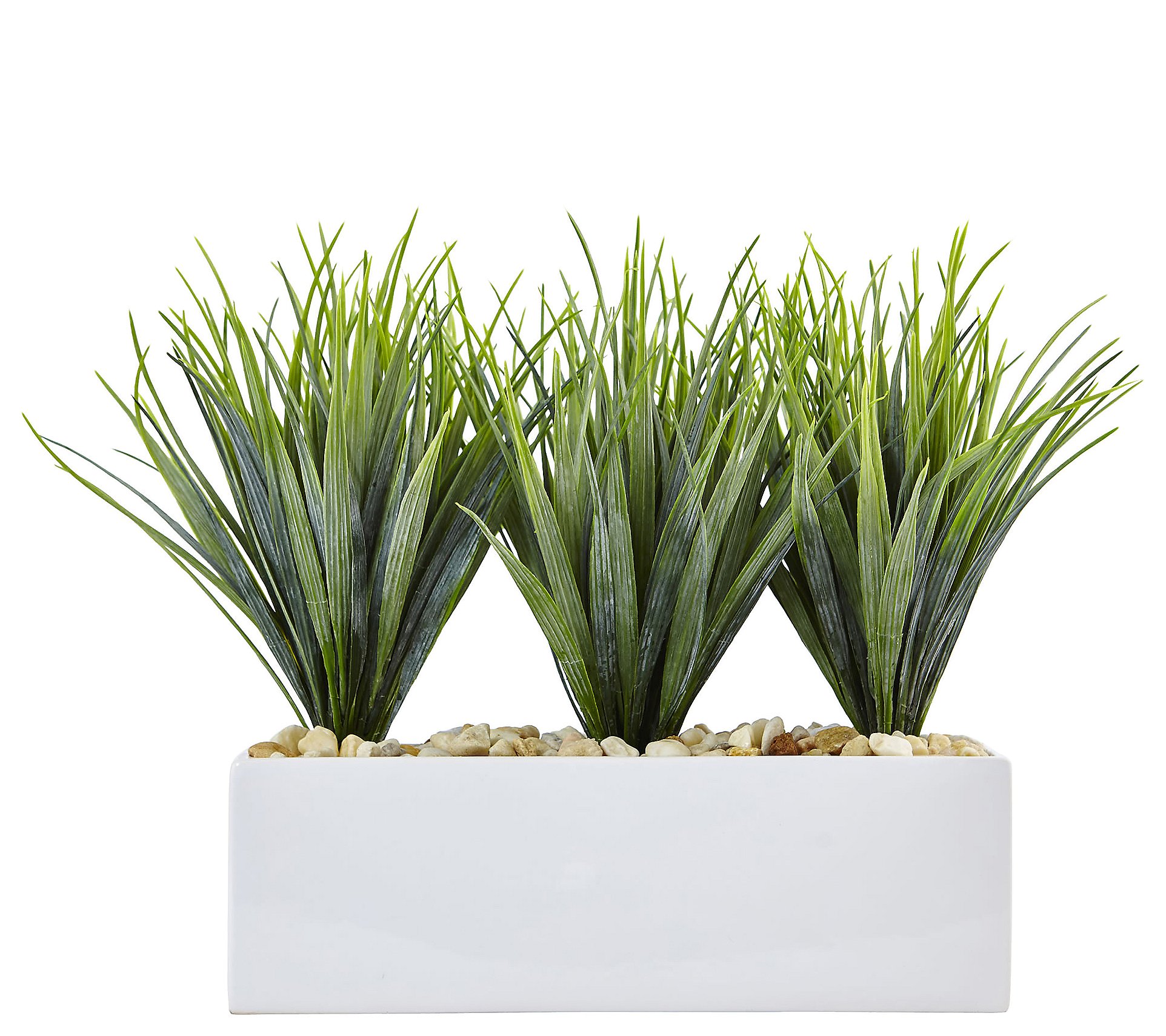 Vanilla Grass in Rectangular Planter by NearlyNatural