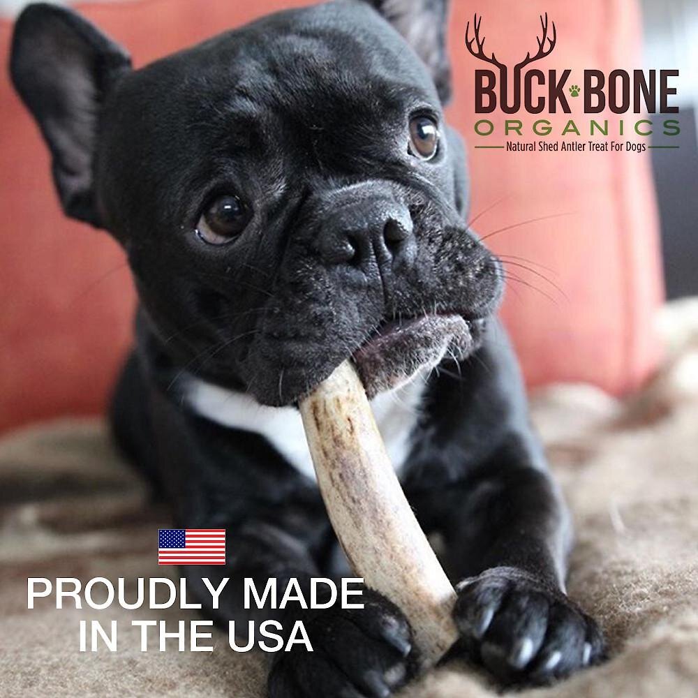 Buck Bone Organics Whole Deer Antlers Dog Chews