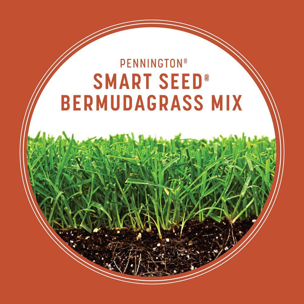 Pennington Smart Seed 8.75 lbs. Bermuda Grass Seed and Fertilizer 100543735