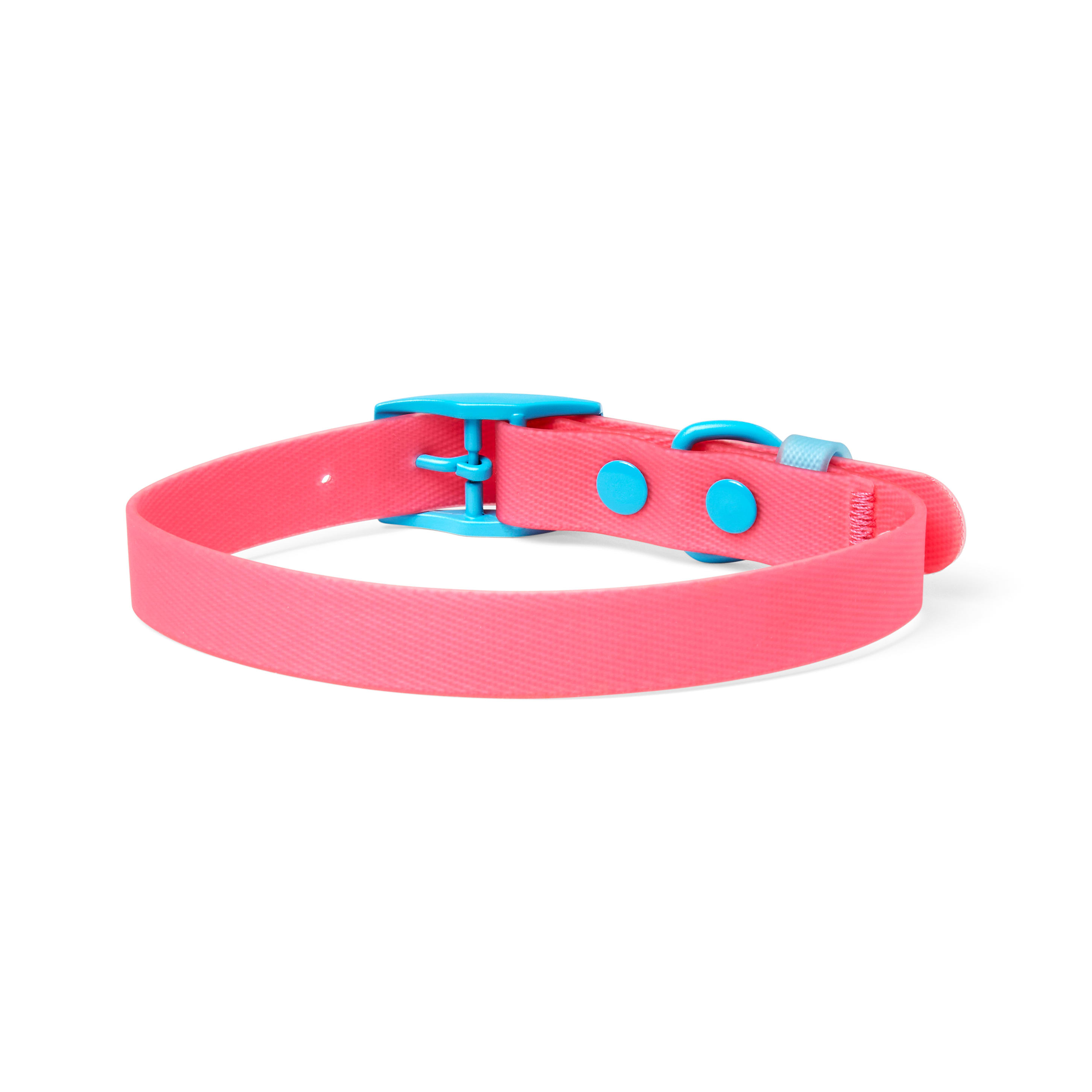 YOULY The Extrovert Water-Resistant Pink  Blue Colorblocked Dog Collar， Small