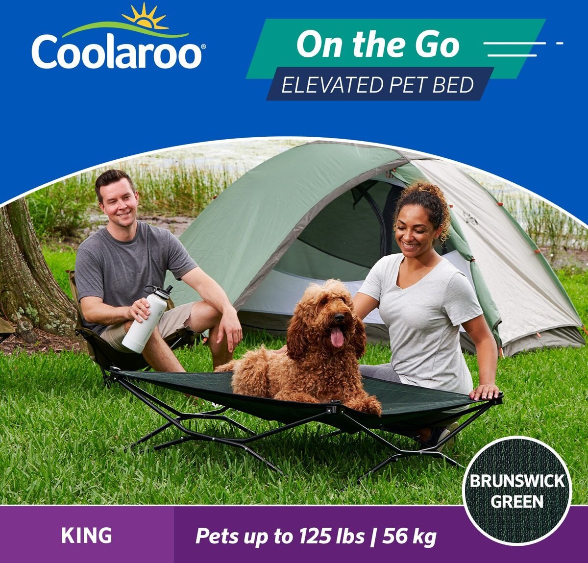 Coolaroo On The Go Elevated Cat and Dog Bed with Removable Cover