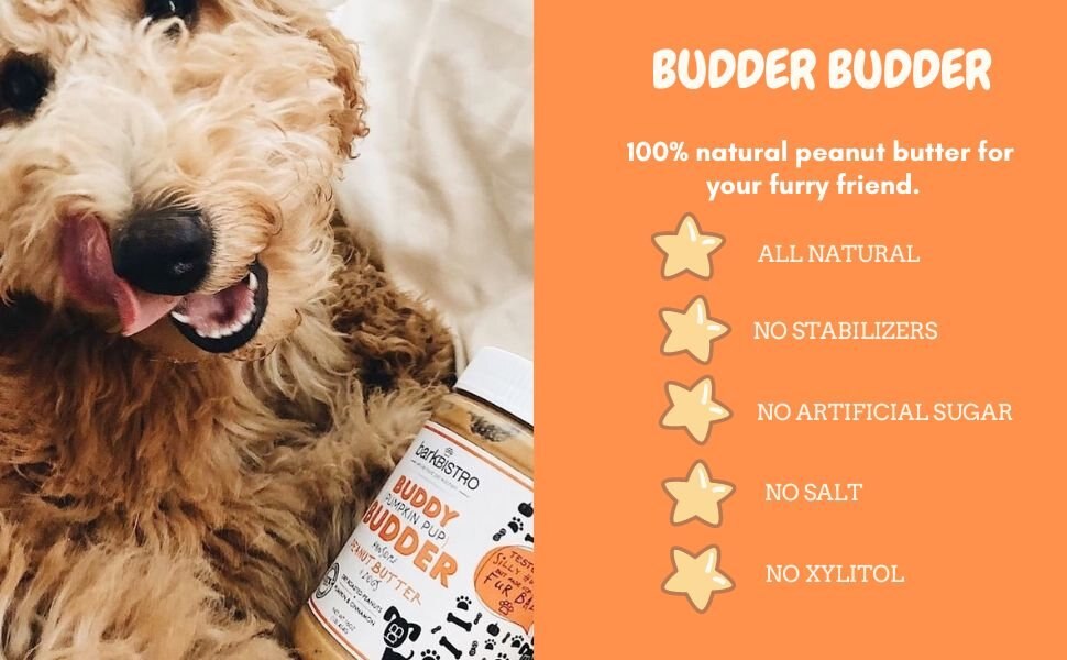 Bark Bistro Company Buddy Budder Pumpkin and Cinnamon Peanut Butter Lickable Dog Treats， 17-oz jar