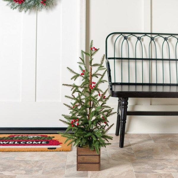 Norfolk Pine and Red Berry Tree Arrangement