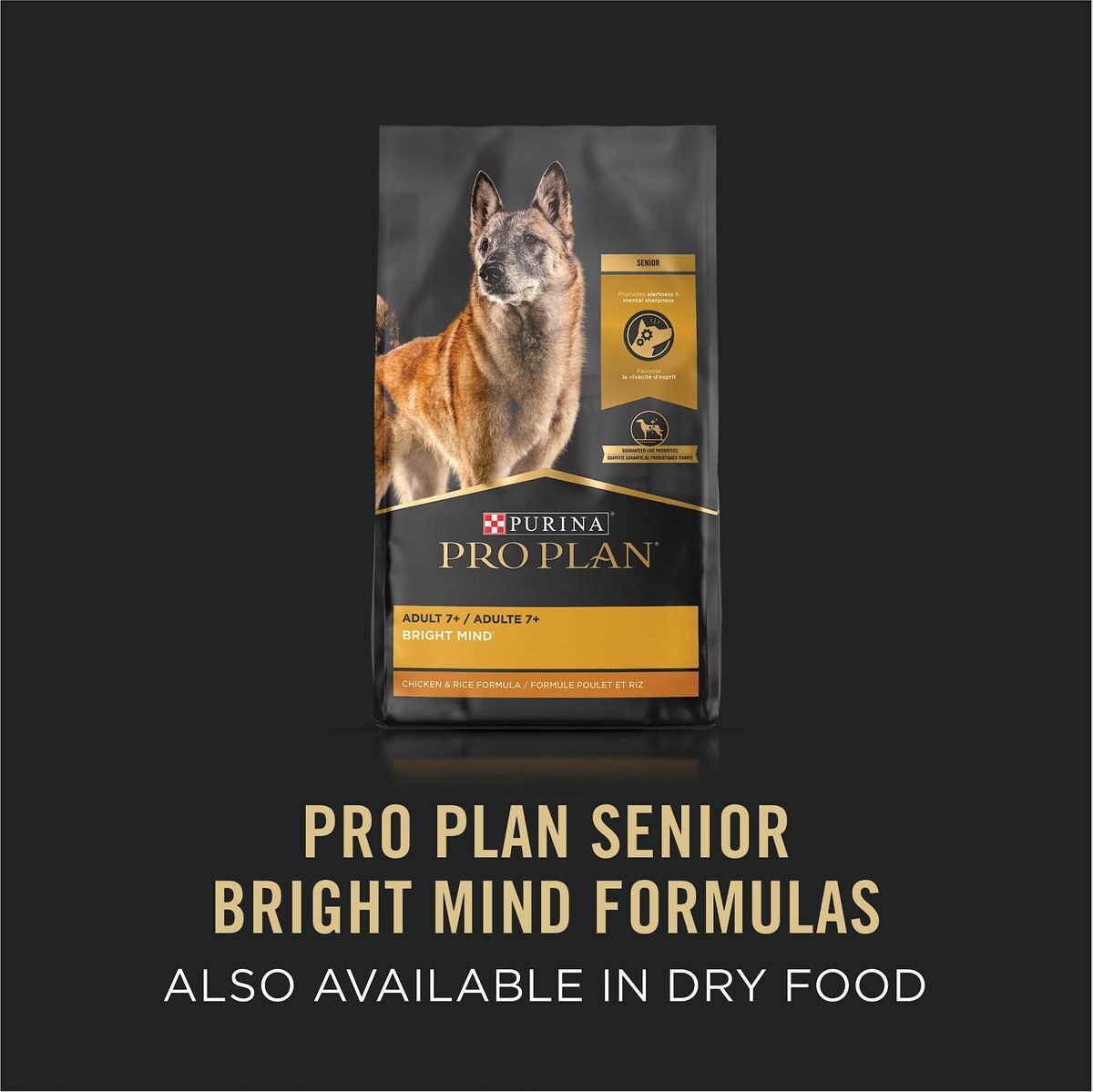 Purina Pro Plan Bright Mind Senior Adult 7+ Turkey and Brown Rice Entree Wet Dog Food