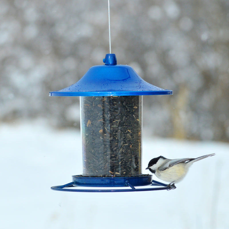 BLUE PANORAMA FEEDER