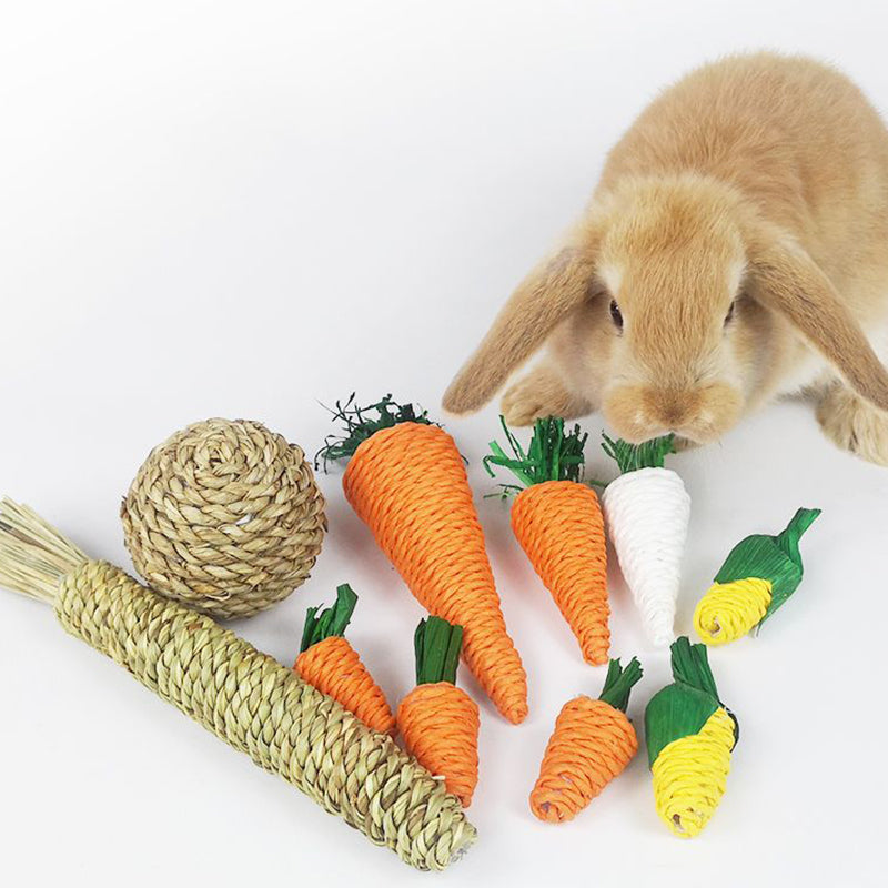 Buytra Hamster Rabbit Chew Toy Bite Grind Teeth Corn Carrot Woven Balls Tooth Cleaning