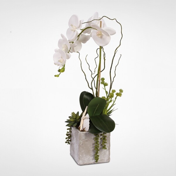 Real Touch White Orchid w/Seashell and Succulents in a Stone Wash Pot