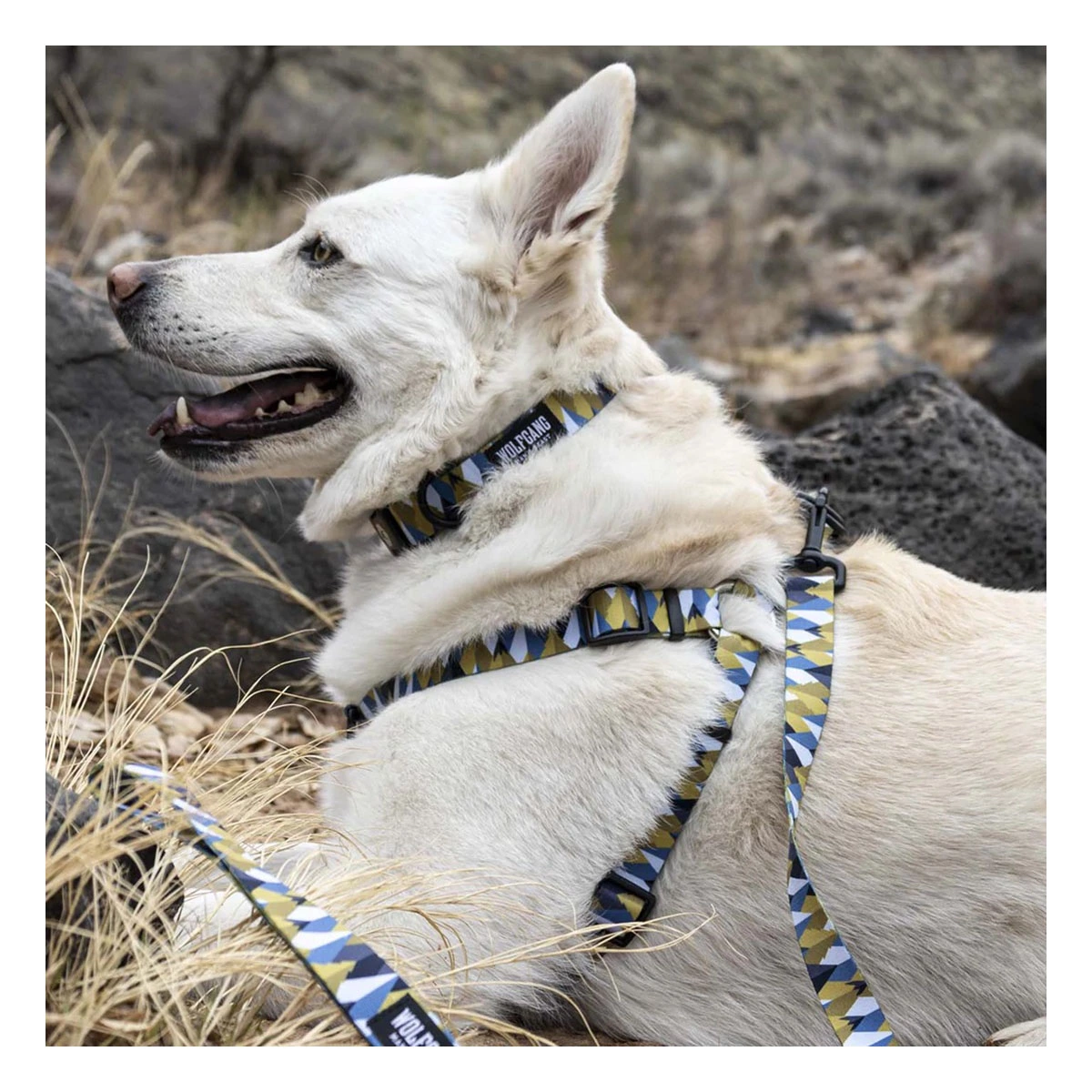 Wolfgang Man and Beast Dog Harness