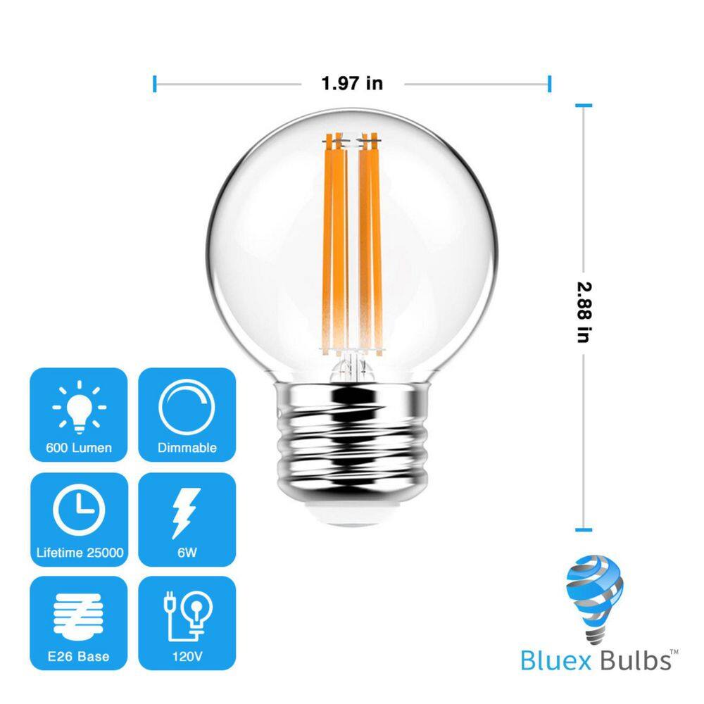 BLUEX BULBS 60-Watt Equivalent G16.5 Household Indoor LED Light Bulb in Warm White (6-Pack) G16.5-6W-27K