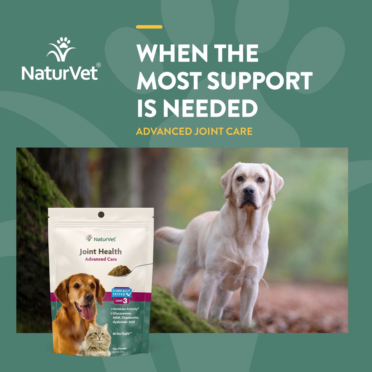 NaturVet Joint Health Advanced Care Powder Joint Supplement for Cats and Dogs