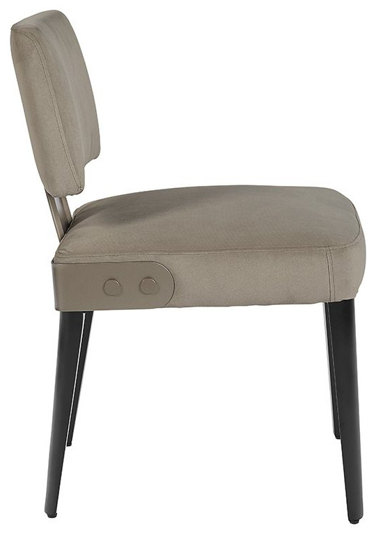 Robin Dining Chair  Antonio Cameo   Midcentury   Dining Chairs   by Sunpan Modern Home  Houzz