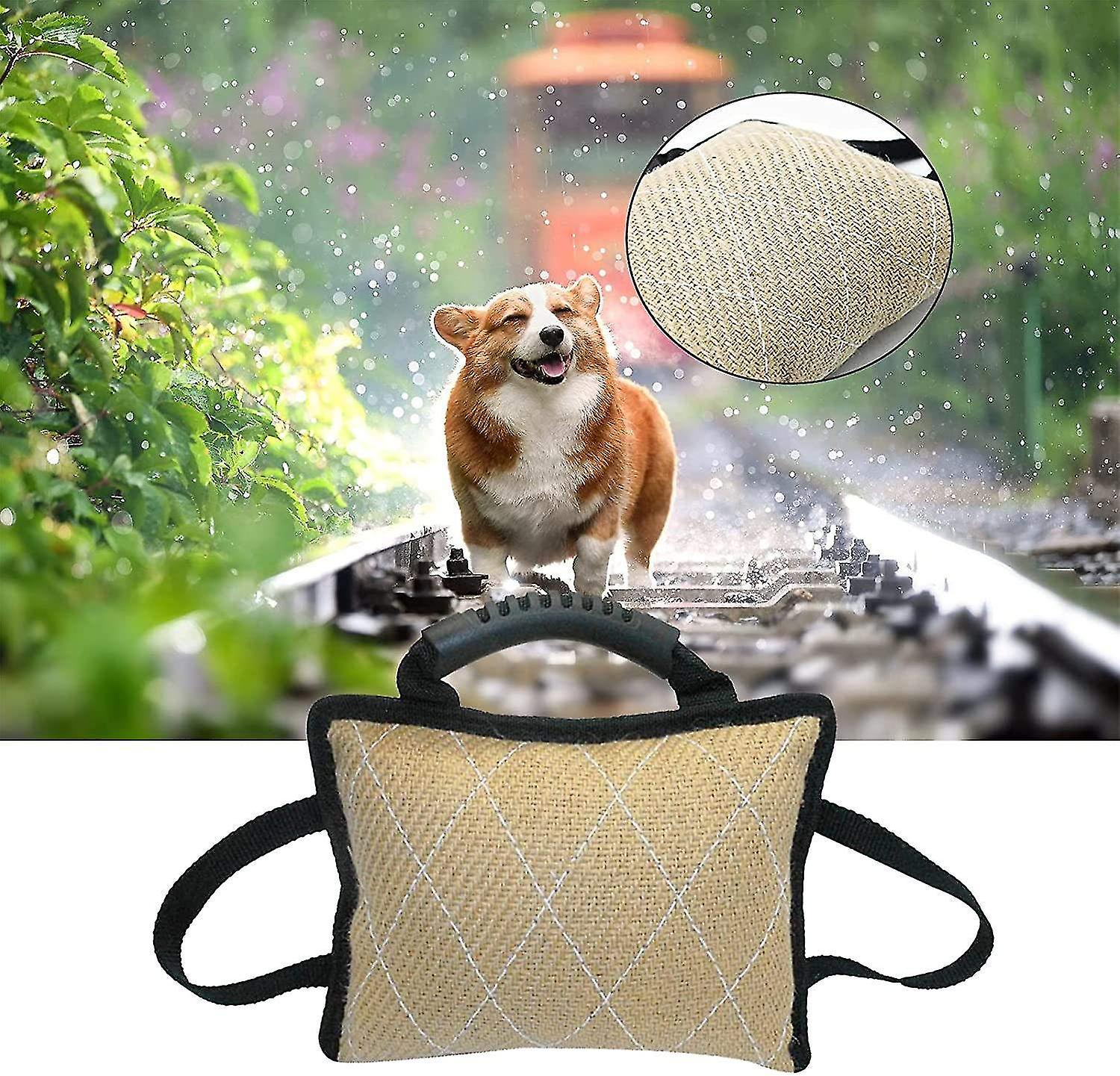 Pet Dog Bite Tug Toy Puppy Bite Pillow Outdoor Training Toy