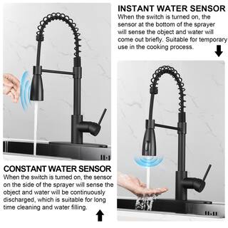 Zalerock Sensor Single-Handle Pull-Down Sprayer Kitchen Faucet in Matte Black WTHG003