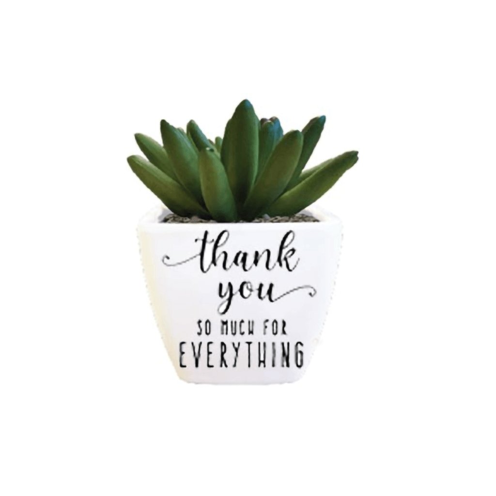 H & H Gifts  Succulent - Thank You So Much For Everything