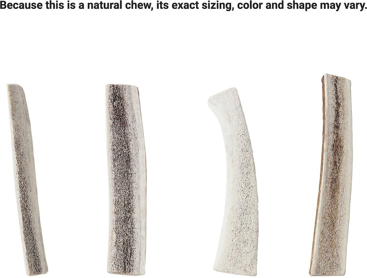 Bones and Chews Made in USA Elk Antler Split Dog Chew， 6.0 - 7.5-in， Medium