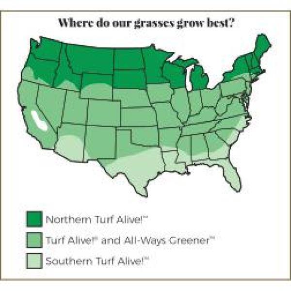 Gardens Alive! 2 lbs. Southern Turf Alive Grass Seed Mixture 82276