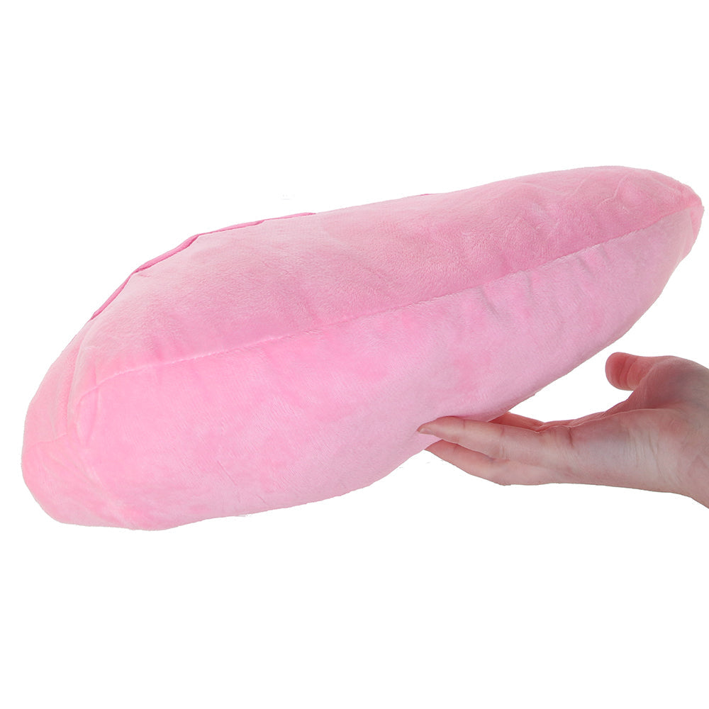 Pussy Pillow Plushie with Storage Pouch