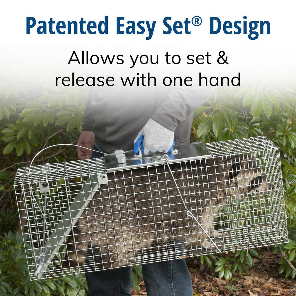 Havahart Large 1-Door Easy Set Live Animal Cage Trap for Racoon Opossum Muskrat and Groundhog 1085