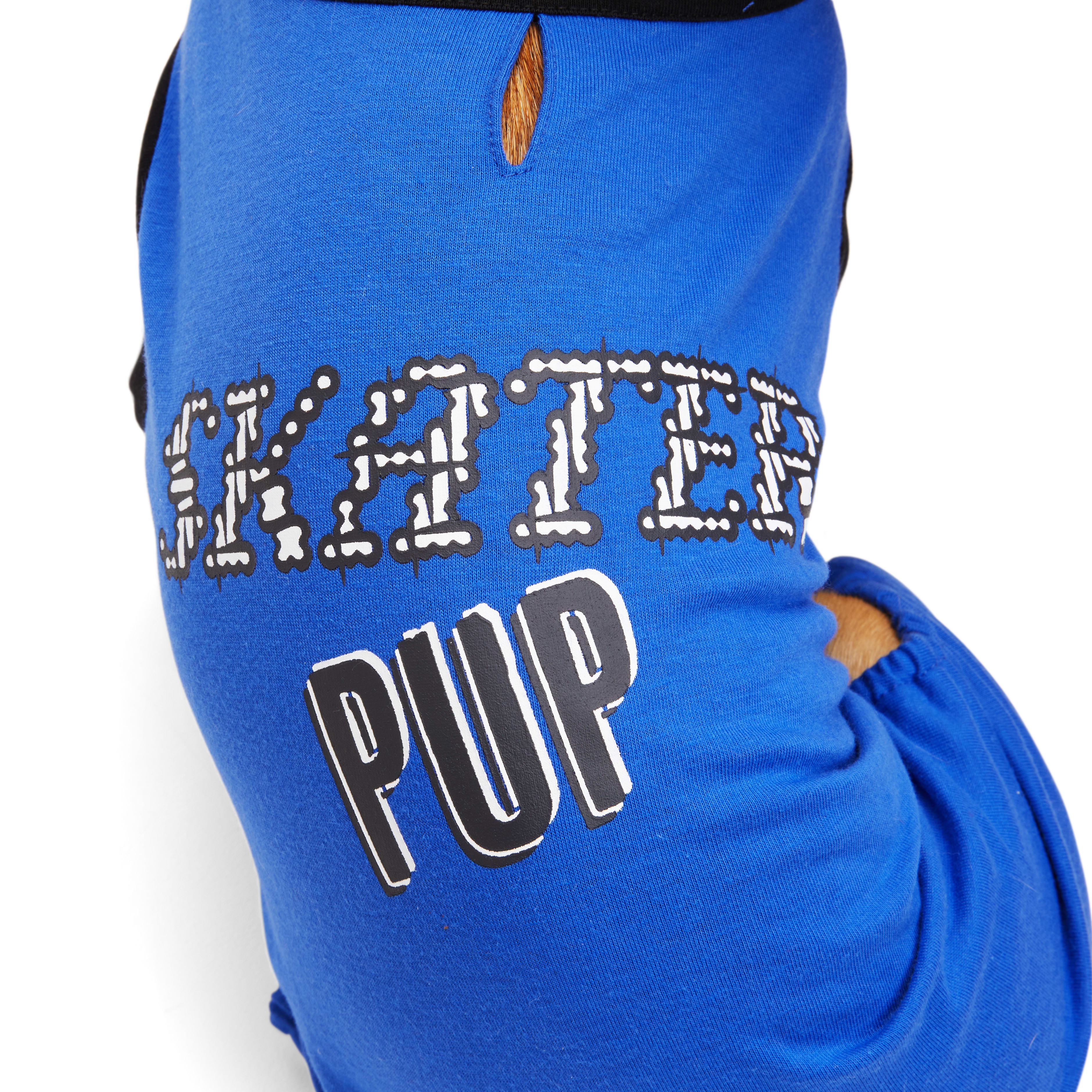 YOULY Skater Pup Pet Pajamas， XX-Small