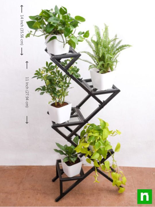 Amazing plants on metal stand for indirect light receiving home space