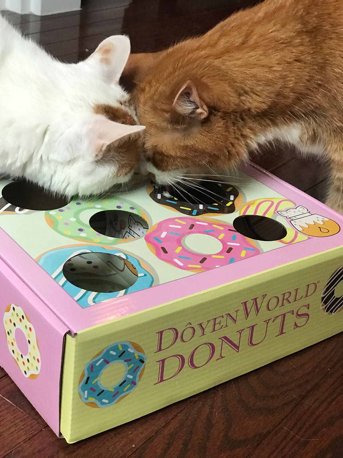 Doyen World Donut Puzzle Box Cat Toy