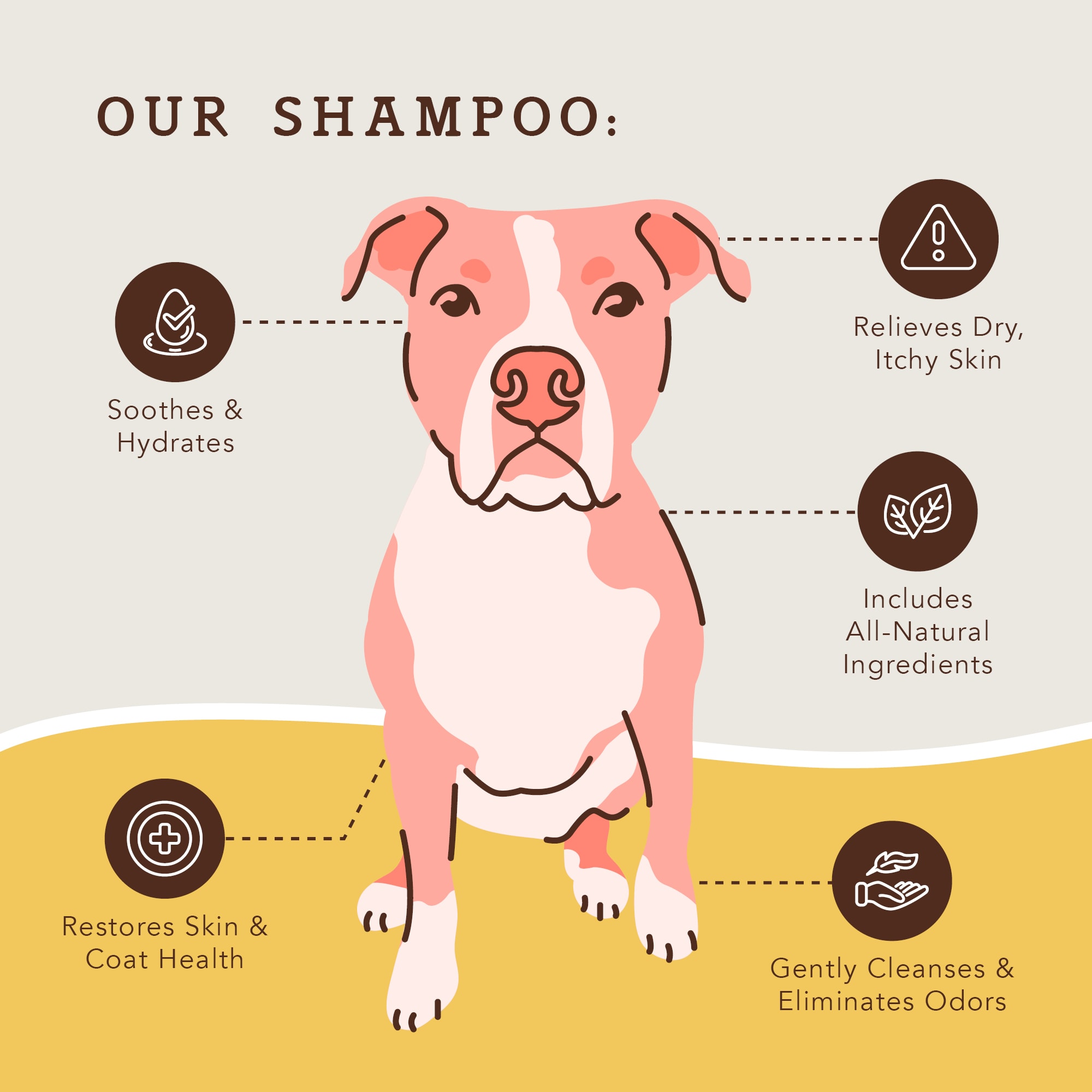 Natural Dog Company Itchy Dog Shampoo， 12 oz.