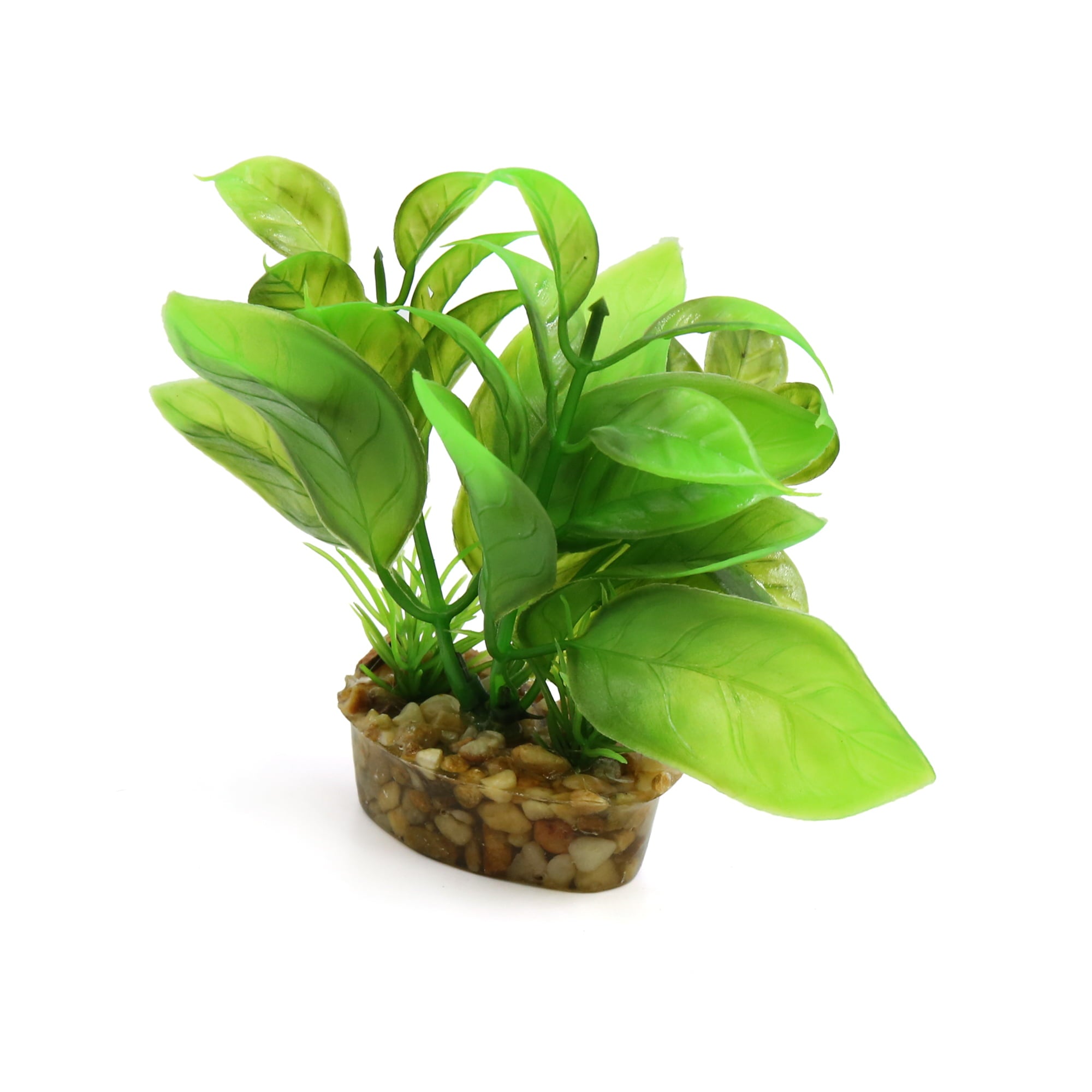 Green Plastic Mini Plant Terrarium Reptiles Habitat Decor Household Ornament w Stand