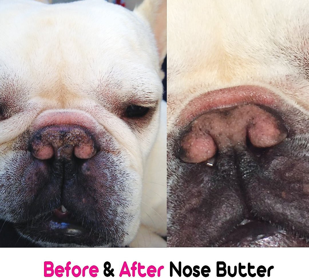 The Blissful Dog French Bulldog Nose Butter