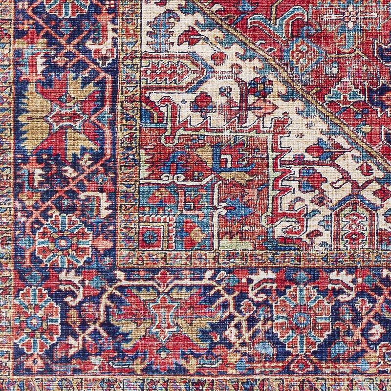 Medevoort Traditional Area Rug