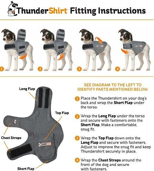 ThunderShirt Polo Anxiety Vest for Dogs