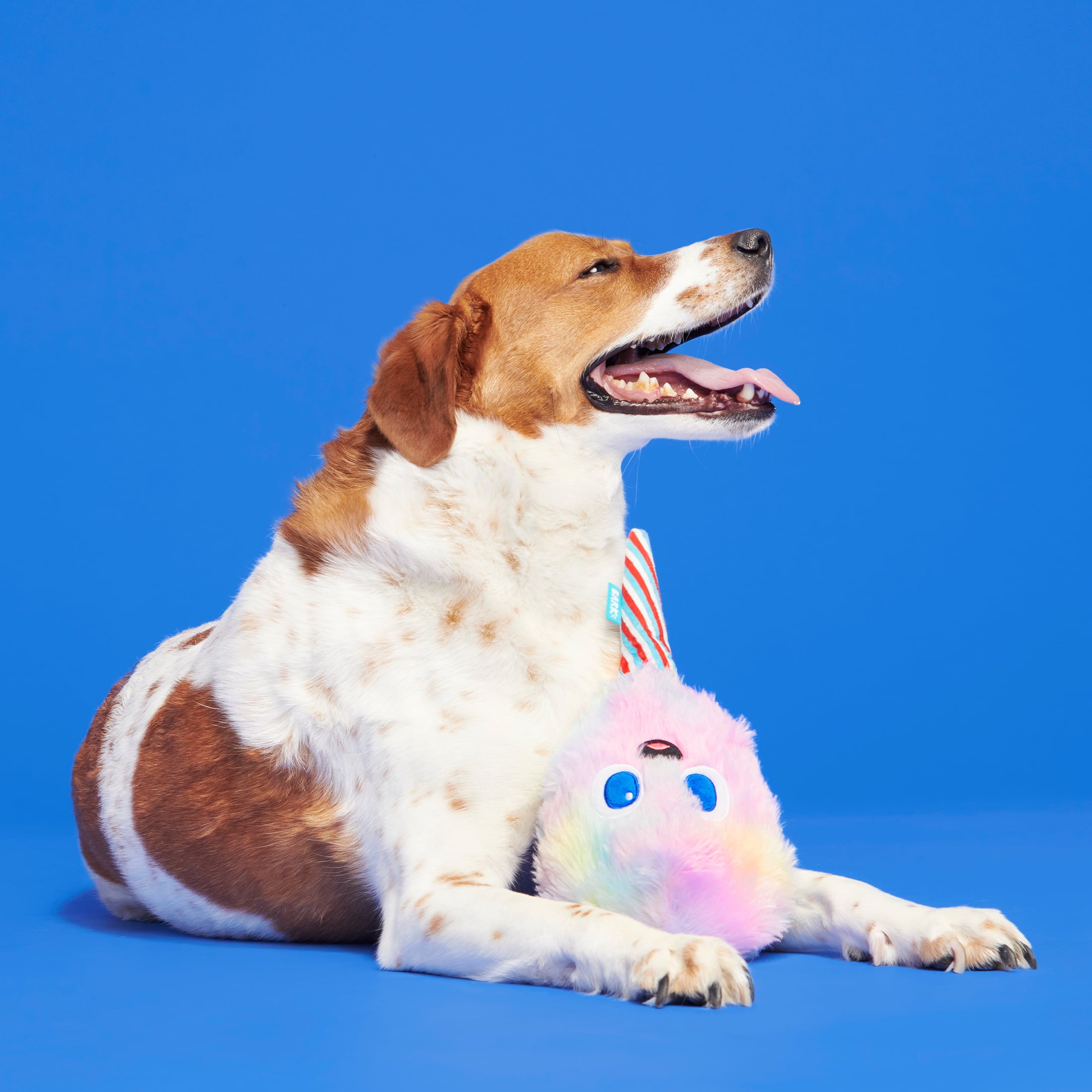 BARK Cotton Candy Eyed Joe - Yankee Doodle Dog Toy， with Bonus Spiky Squearker Ball， all Dog Sizes