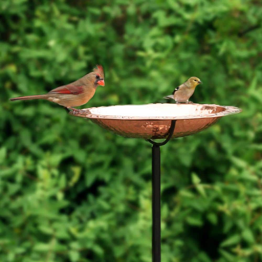 Good Directions Pure Copper Bird Bath on Garden Pole BBG