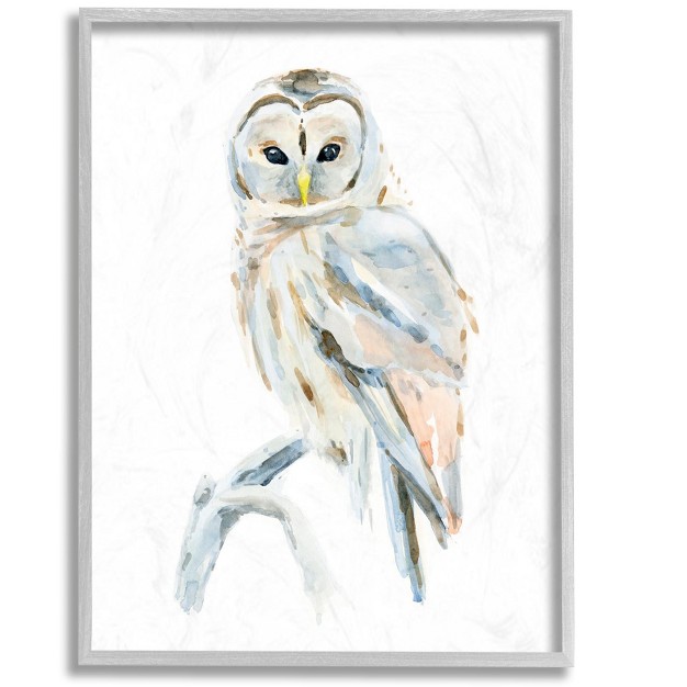 Stupell Industries Winter Artic Owl Portrait Perched On Tree Branch