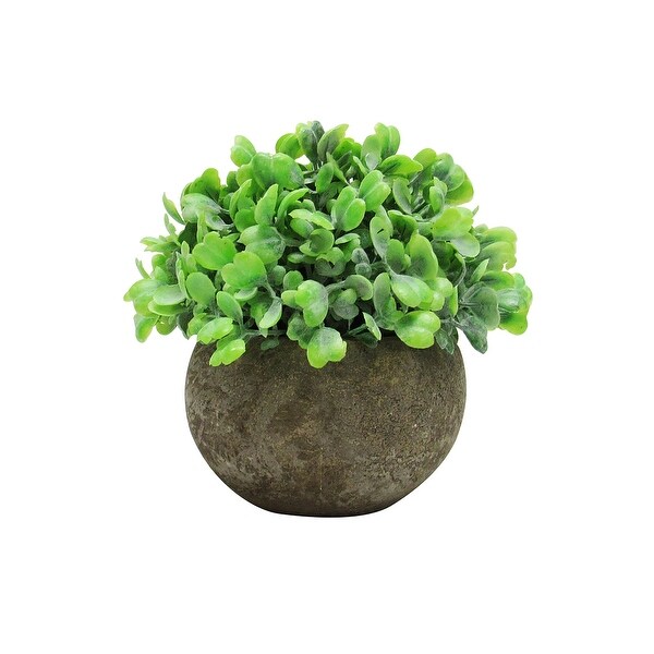 Set of 3 Frosted Green Artificial Boxwood Grass Leaf Succulent Mix Small Plant in Pot 4.5in