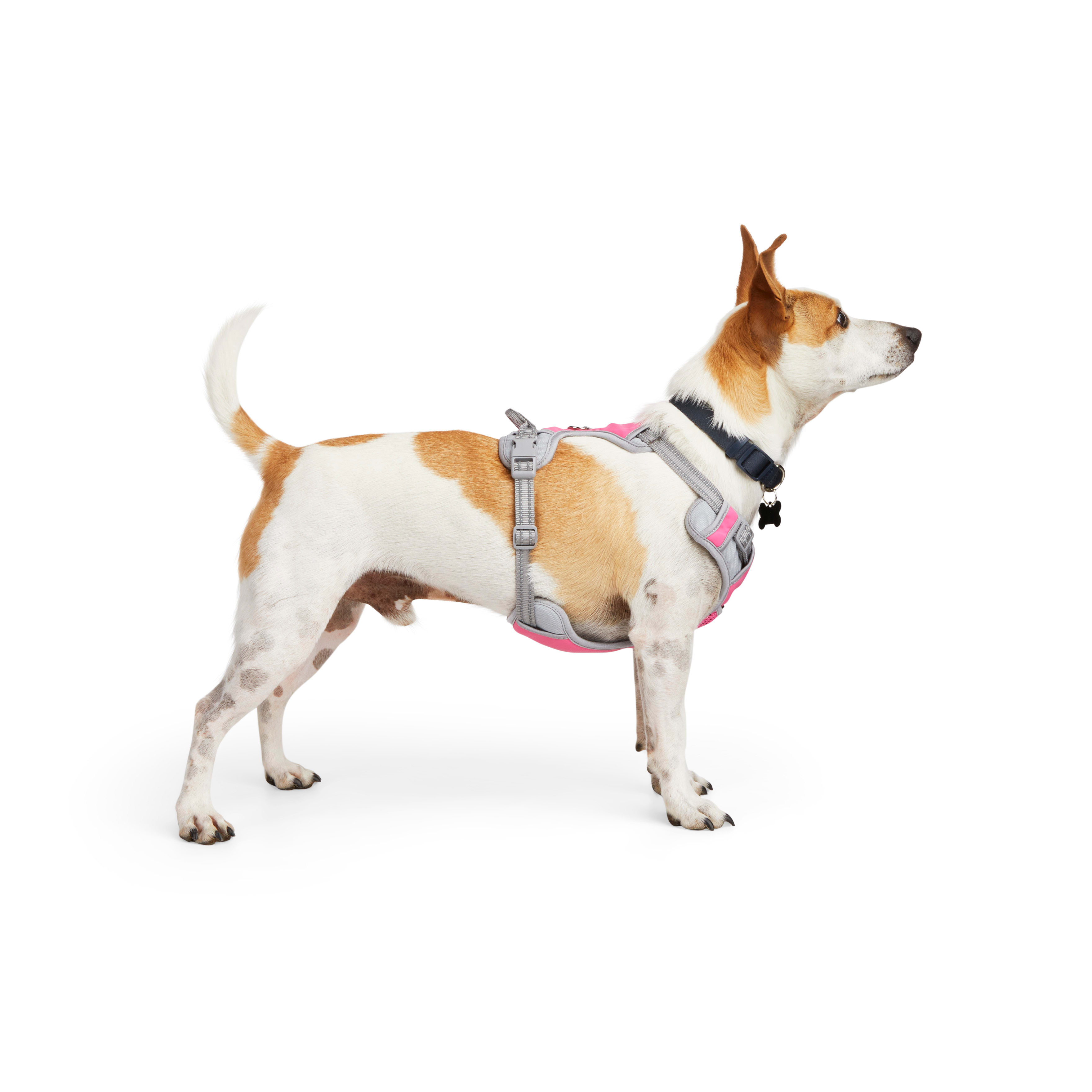 EveryYay Embrace the Pace Pink Reflective Dog Harness， X-Small