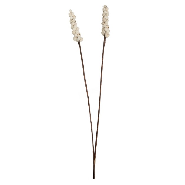 Natural Dried Sola Berries Stick- 24 Sticks/polybag. It Includes Twenty-four Pieces Per Bag. This Item Is A Natural