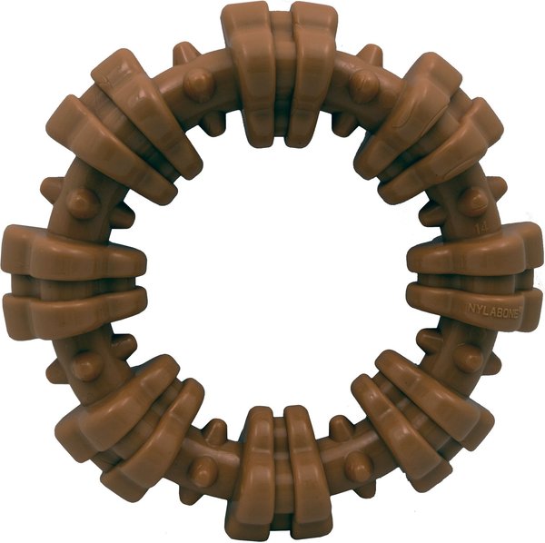 Nylabone Power Chew Textured Chew Ring Dog Toy， X-Large