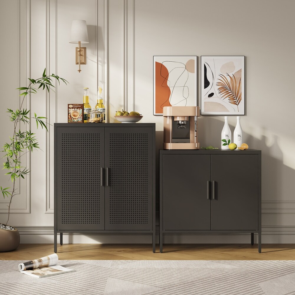 Steel Storage Cabinet with 2 Doors and 2 Adjustable Shelves