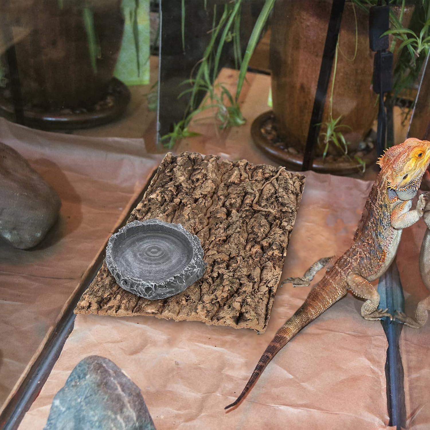 feeding utensils reptile food bowl rock corner bowl turtle food dish bearded dragon water dish lizar