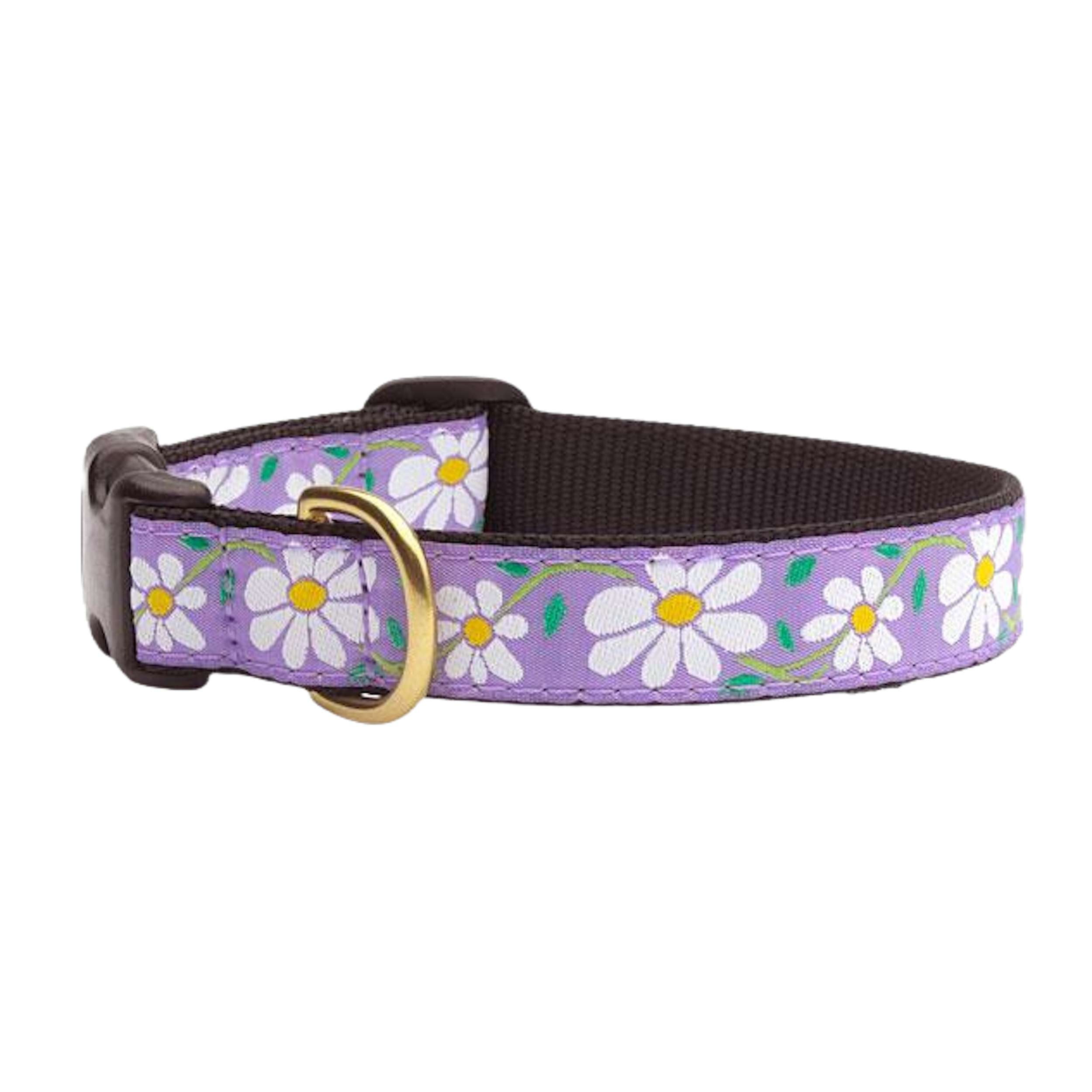 Collar | Daisy