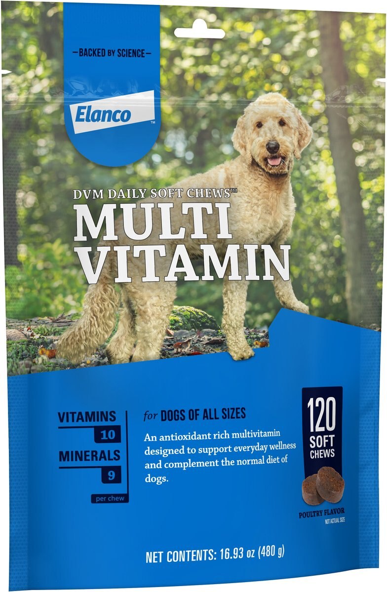 DVM Daily Soft Chews Multi Vitamin for Dogs