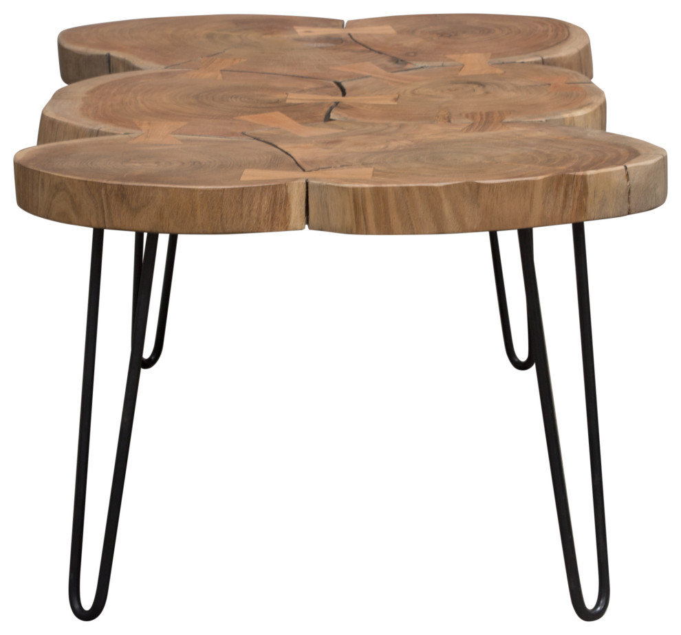 Joss Natural Acacia Live Edge Rectangle Cocktail Table  Black Hairpin Legs   Rustic   Coffee Tables   by Morning Design Group  Inc  Houzz