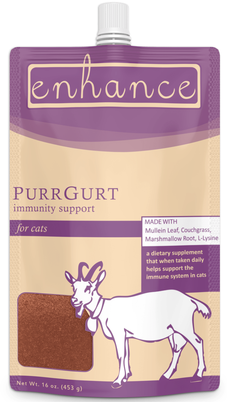 Steve's Real Food Enhance PurrGurt Raw Goat Milk Supplement for Cats