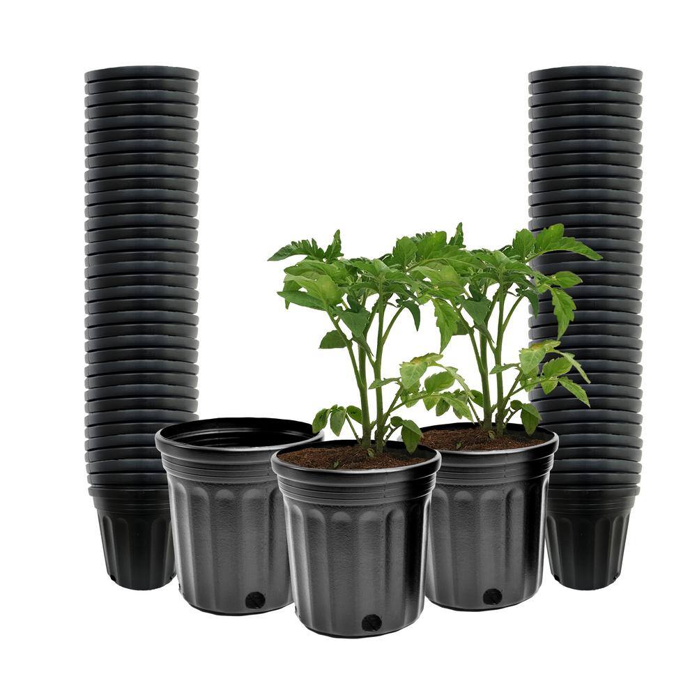 Viagrow 12 Gal. Plastic Nursery Pots (100-Pack) VHPP50-100