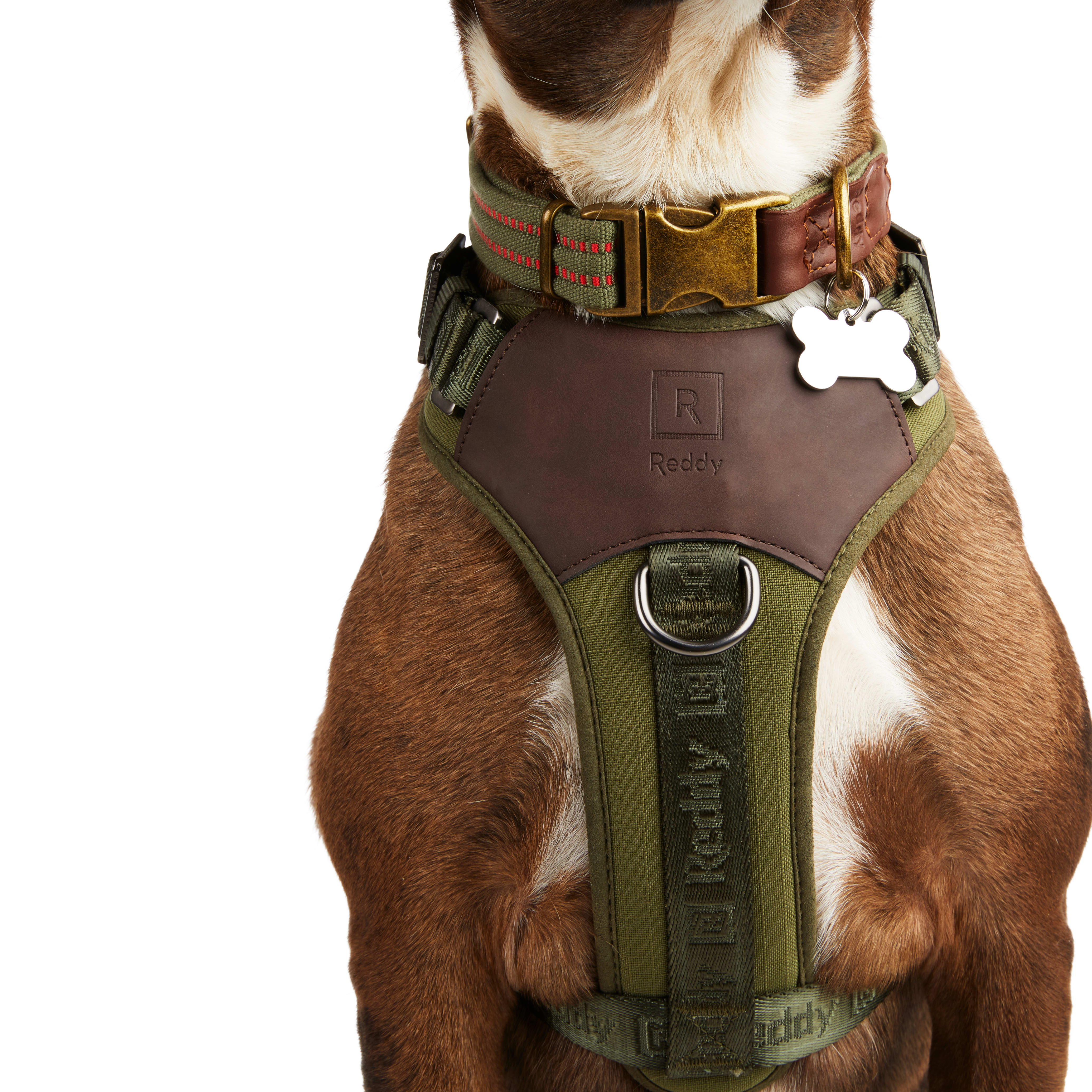 REDDY Olive Jacquard Dog Harness， Medium