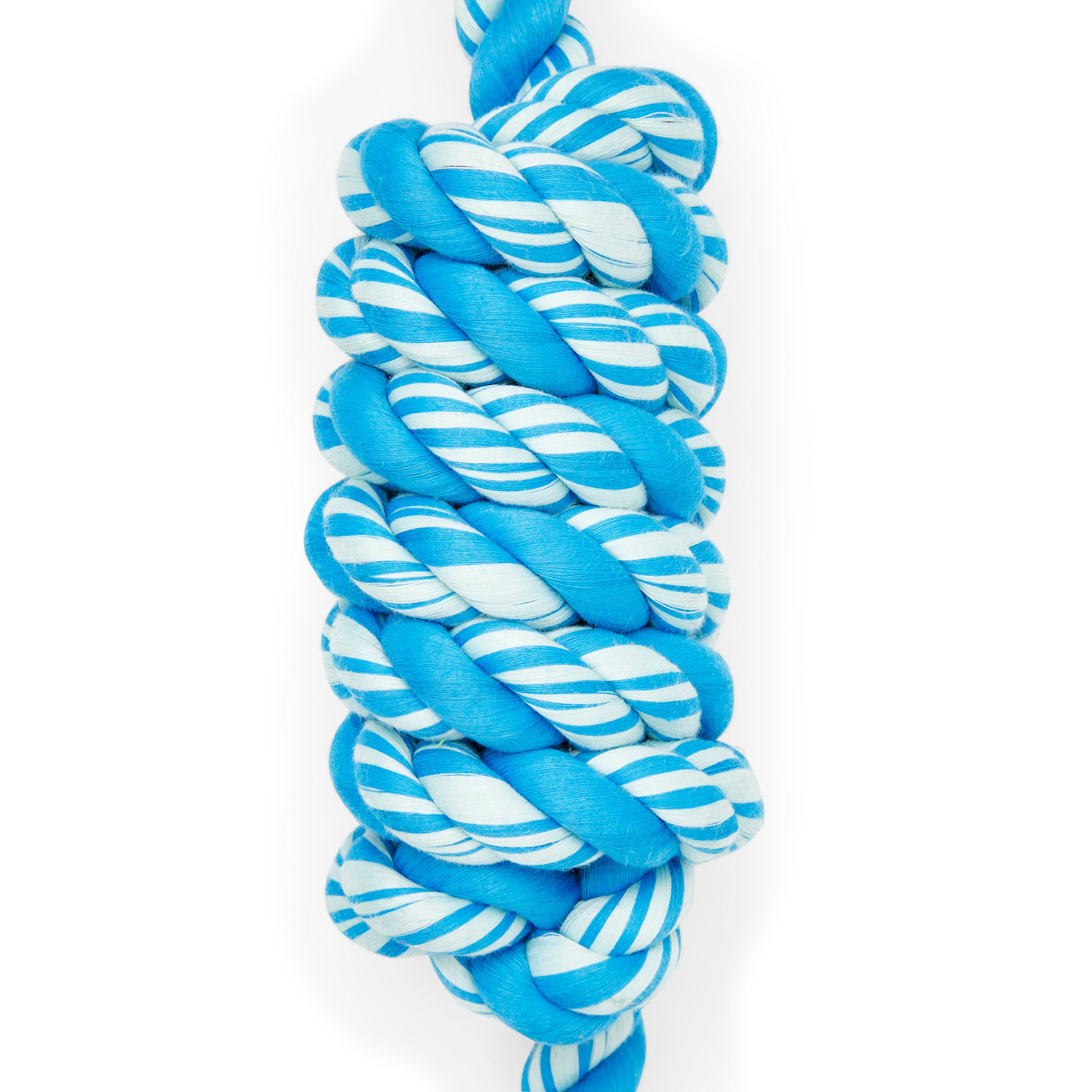 Leaps  Bounds Blue Twisted Rope Dog Toy， XX-Large