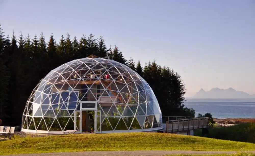 Steel Frame Transparent pvc Geodesic Garden Igloo Dome